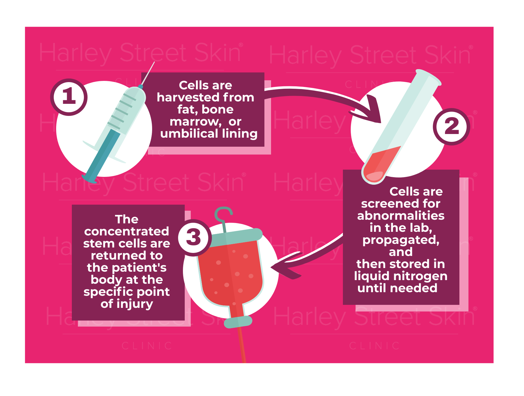The 3 Stages of the Stem Cell Process